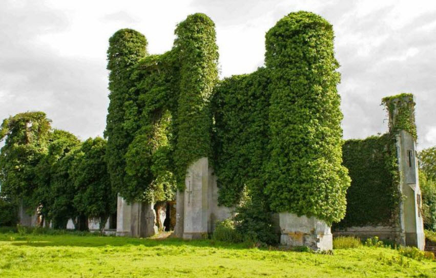 Moydrum Castle, Republic of Ireland, Ireland